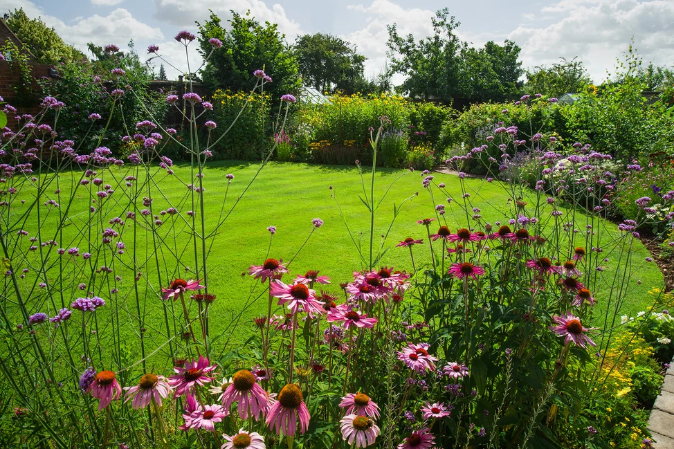 Gardening Tips for Beginners - Get to know your garden